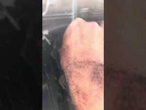 2015 BMW X5 35D , Diesel, Camshaft position sensor replacement