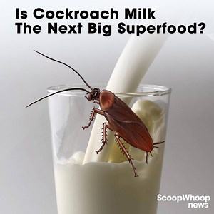 But, will you dare to drink it? | Jist