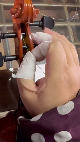 Ktaxon Violin for Beginners Students, Acoustic Violins 4/4, Full Size Fiddle Kit with Case, Bow, Rosin, Adult Teens Learners Age 11+ (Green)