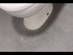 Farting in a public toilet is always fun