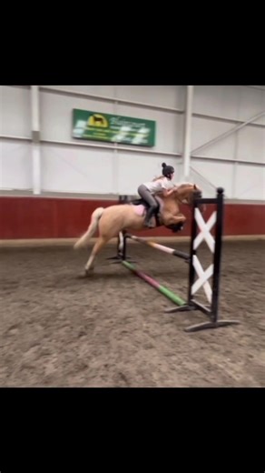 jack.and.rio on TikTok