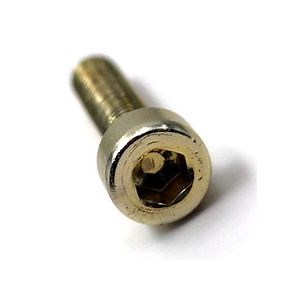 [Hot Item] Bronze Socket Head Screw, 3/4" Long