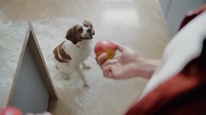 2.4K views | Meet the AENO Robot Vacuum Cleaner RC4S – your ultimate...