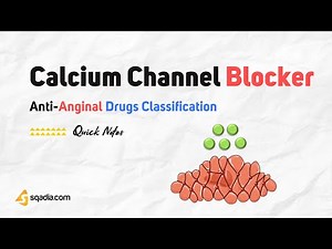 Anti-Anginal Drugs Classification | Calcium Channel Blockers