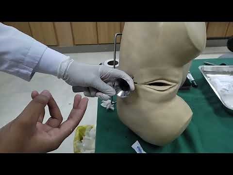 digital rectal examination and proctoscopy