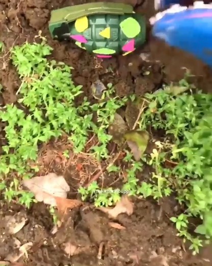 1.8K views · 18 reactions | EASTER EGGS  - - -Backup @thesharkpuppet - - - - - - #meme #memes #dankmeme #dankmemes #edgy #edgymemes #doggo #offensivememes #communism #marvel #lilpump #tiktok #roblox #minecraft #earrape #hood #hoodclips #cringe #fortnite #shark #sharkpuppet #comedy #xbox #epic #victoryroyale #puppet #juicewrld #6ix9ine #rap | The Shark Puppet | Facebook