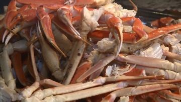 Check out why Crabby Mike's Calabash Seafood is voted the #1 Seafood Buffet year after year! | Beach TV - Myrtle Beach and the Grand Strand