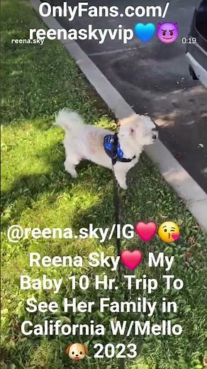 ‪@ReenaSkyTM‬ My Sexy Baby @reena.sky/IG❤️😘 Road Trip To See Her Family in CA☀️🌴W/Mello🐶 in 2023