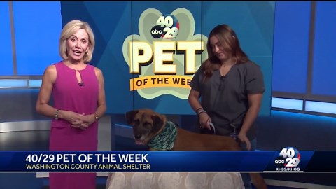 Pet of the Week: Wyoming
