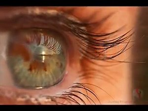 127K views · 5.1K reactions | SAMO JEDNOM SRCE VOLI... | Tišina duše moje | Facebook