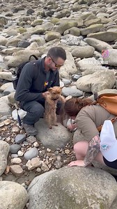 33K views · 428 reactions | Finding an ichthyosaur vertebra in Lyme Regis. Always special. Having a blast at the Lyme Regis Fossil Festival fossil hunting with good friends and screening WHY DINOSAURS? 練. | Dr Dean Lomax - Palaeontologist | Facebook