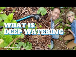 💦 What is Deep Watering - QG Day 106 💦