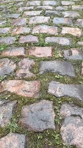 🪨 LA COURSE DES GOAT 🐐 🔜 Ce week-end, c’est Paris-Roubaix ! 🐐 Une équipe de chèvres (on parle pas de cyclistes hein…) en a profité pour effectuer la reconnaissance de la terrible et mythique trouée d’Arenberg. 🌿 Un nettoyage écologique de la mousse et de l’herbe des 2,3 km pavés de ce secteur, un des 3 classés en difficulté 5 avec Mons-en-Pévèle et le Carrefour de l’Arbre. 🏆 Qui succédera à la Canadienne Alison Jackson et au Néerlandais Mathieu Van der Poel qui vise un retentissant doublé 