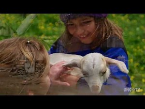 Turtle Island Preserve | NC Now | UNC-TV