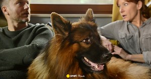 "Komisarz Aleks": finał kolejnego sezonu przyniesie zaskakujące rozwiązanie