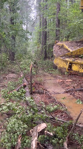 What are you passionate about!! #kellyvideos #cuttingedgelogging #worklife #motivation | Cutting Tree