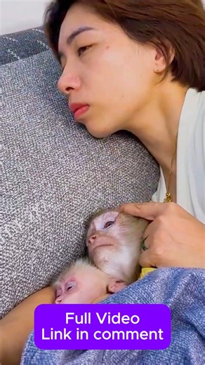 Monkey Kaka protects Mit from being scared by the sound of the plane #Monkeykaka | Kaka Page