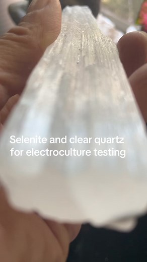 8.9K views · 91 reactions | I put my selenite in water #selenite #crystals #electroculture #crystalhealing | Bianca Ruehlig | Facebook