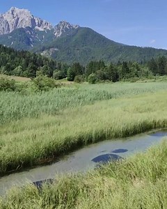 2.1K views · 245 reactions | Our beautiful Zelenci朗 : @nejc.hlebanja #zelenci #podkoren #kranjskagora #julijskealpe #julianalps #myway #mojaslovenija #ifeelsLOVEnia  Julian Alps | Feel Slovenia | Slovenia Outdoor | Kranjska Gora | Facebook