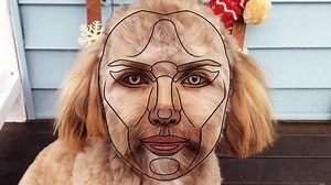 103K views · 279 reactions | DOG with the proportions of a HUMAN... #creepy #cute #cursedimages | Photoshop Surgeon | Facebook