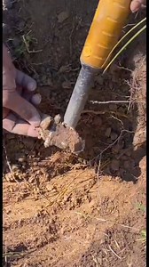 Finding The Object In Pinpointer #findingtheobject #detectingpinpointer #detectingobject | Gold Field Hunting