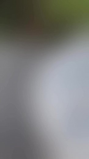 #ซอร์เบ #ซอร์เบมะนาว #ไอศกรีม #ไอศกรีมซอร์เบผลไม้แท้ #อร่อยมาก #gelato #lime #pattaya #thailand #jingjinggelato