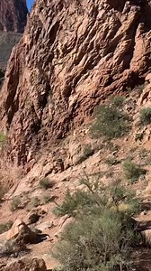 15K views · 158 reactions | Alfredo Burdio is a 92-year-old geologist with a great love of the Grand Canyon. The first time he visited it was with his late wife, so the national park is very close to his heart. On October 14 alongside his son-in-law, he will attempt a Guinness World Record by becoming the oldest person to hike the Grand Canyon rim to rim. #GrandCanyon #GrandCanyonNationalPark #UpliftingArizona #GuinnessWorldRecord #hiking #Arizona #ABC15 | ABC15 Arizona | Facebook