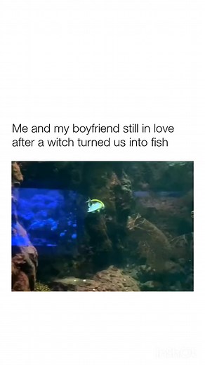 391K views · 10K reactions | Couples Meet The Internet on Reels | Facebook