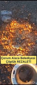 Çorum Alaca çöplüğüne atılan hayvanlar çürümüş gıda yiyerek, asitli su içerek acılar içinde ölüyor! Yaşayanlar ölenleri yiyerek hayatta kalıyor! @alacabelediyesi Bşk. @halilsaltu İnsanlığa ve islama yakışmayan bu vicdansızlığı DURDURUN! @RTErdogan @yusufahlatci @CorumValiligi | Huysuz İhtiyar