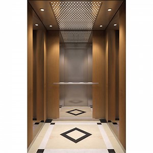 [Hot Item] China Machine Room Elevator Villa Passenger Elevator