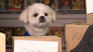 ScreenCrush on Reels