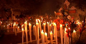 Video by INOCENTE SANCHEZ GUADARRAMA on Pexels