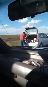 3.4K views · 55 reactions | Anderson Transport looted | SA long-distance truckers | Facebook