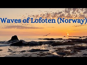 Rareseen Lofoten Sunset | Ocean Waves & Seabirds Song for Deep Calm & Relaxation