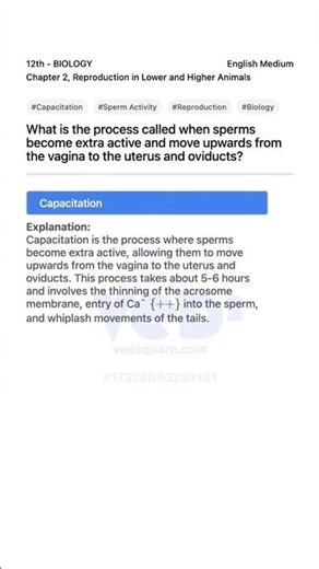 Capacitation Process in Reproduction Biology 12th