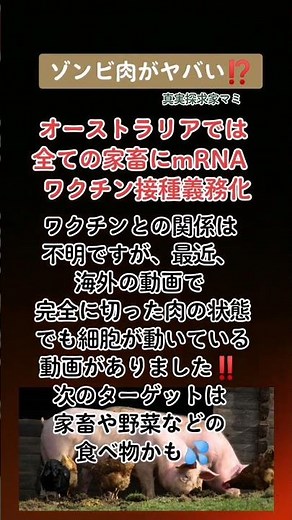 オーストラリアでは全て家畜にmRNAワクチン接種を義務化！ワクチンとの因果関係は不明ですが、最近、海外の動画で完全に切った肉の状態でも細胞が動いている映像をUP！次は家畜や野菜などの食べ物がターゲット