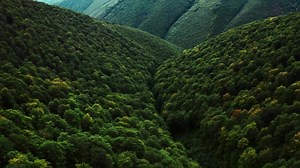 Top 20 Dalai Lama Quotes. @DailyQuotesHD. #dalailamaquotes #TenzinGyatso #ArtOfHappiness #Compassion #Wisdom #Mindfulness #Spirituality #Peace #Inspiration #InnerPeace #LoveAndCompassion #HappinessQuotes #PositiveVibes #SpiritualGrowth #LifeLessons #KindnessMatters #SelfImprovement #Meditation #PhilosophyOfLife #dalailama. | Positive Quotes