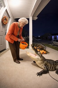 47K views · 75 reactions | Eine ältere Frau fütterte einen riesigen...