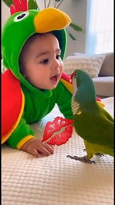 3.1M views · 175K reactions | I kissed the parrot after teaching the Qur'an 列 #cute #parrots #quran #fblifestyle | IA Knowledge Hub | Facebook