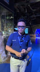 Mari berkenalan dengan kepiting besar dengan kaki-kakinya yang panjang, Giant Spider Crab. Biasanya kita hanya melihatnya di dunia maya atau televisi, sekarang kamu bisa melihatnya langsung di Sea World Ancol. Ayo pesan tiket liburanmu sekarang!! | Sea World Ancol