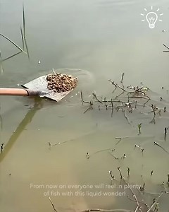 Easy scent hack to catch more fish! ⛰ | Zenith