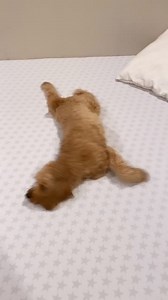 John Melton on Reels