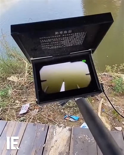 91K views · 385 reactions | This fishing accessory lets you watch your bait, and hook a fish as soon as you see it bite. : Instagram/ fishcampvietnam | Interesting Engineering | Facebook