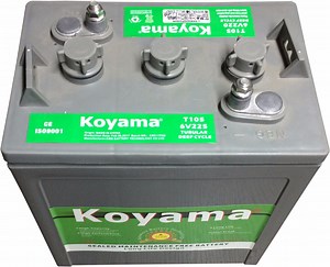 [Hot Item] Premium Trojan T105 6V 225ah Deep Cycle Battery for Traction