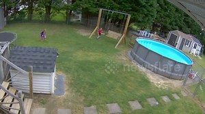 Dog knocks over girl