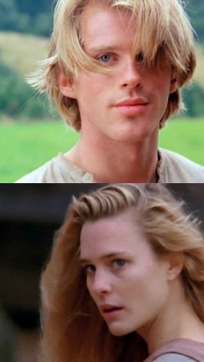 a classic fairy tale ❤️ #bookloverswriting #theprincessbride | Bookloverswriting