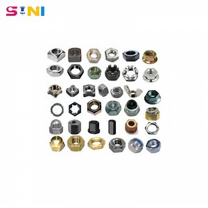 [Hot Item] Hexagon Flange Nylon Insert Lock Nut Fastener Galvanized Coupling Nut Nylon Lock Nut Wing Nut Spring Nut Square Nut Washer Nut T Nut