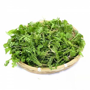 [Hot Item] Fresh Vegetable Natural Wild IQF Frozen Shepherds Purse Wholesale