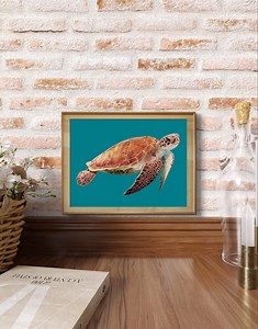 Teal Sea Turtle, Colored Pencil Drawing by Hannah Misler * Fine Art Print - Etsy Australia