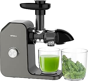 Slow Juicer